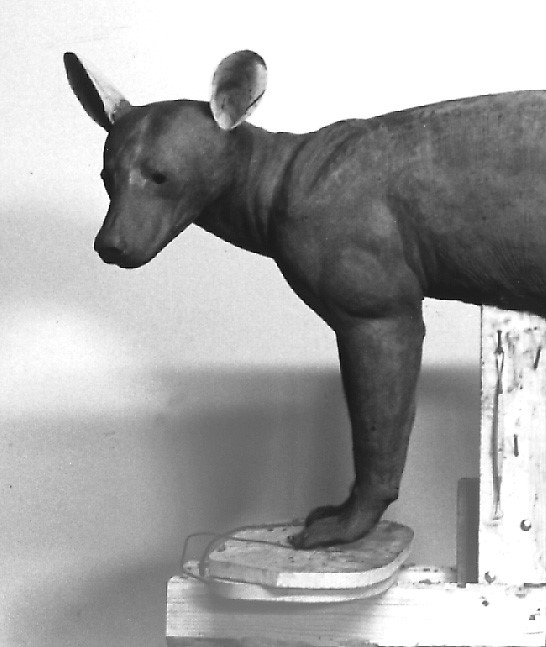 BB152-5 BEAR-BLACK-BB152-5 - Image 1