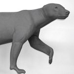 BEAR - BLACK-BB161-5