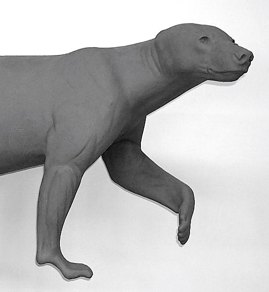 BB161-5 BEAR-BLACK-BB161-5 - Image 1