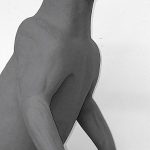 BEAR - BLACK-BB163-5