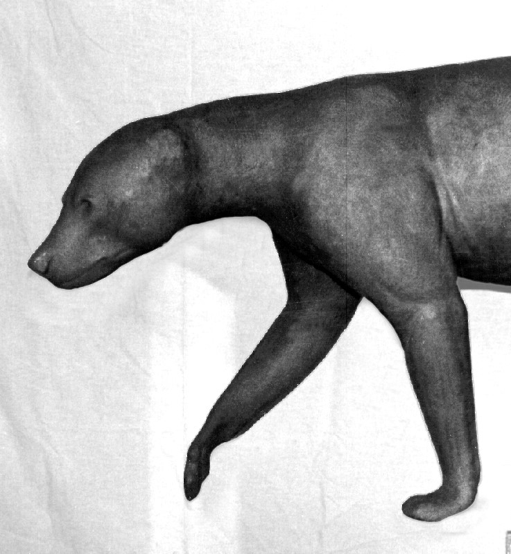 BB166-5 BEAR-BLACK-BB166-5 - Image 1