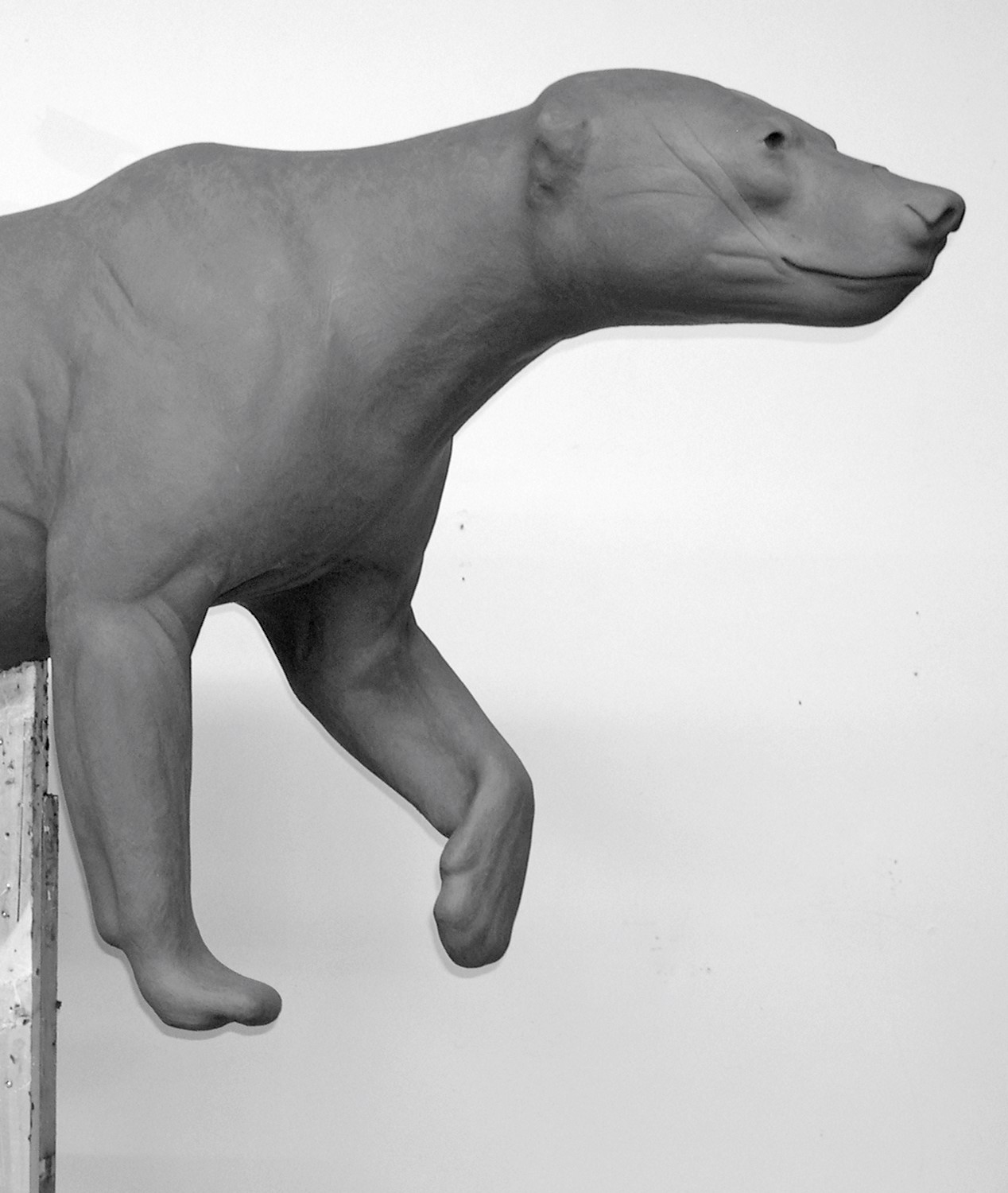 BB172-5 BEAR-BLACK-BB172-5 - Image 1