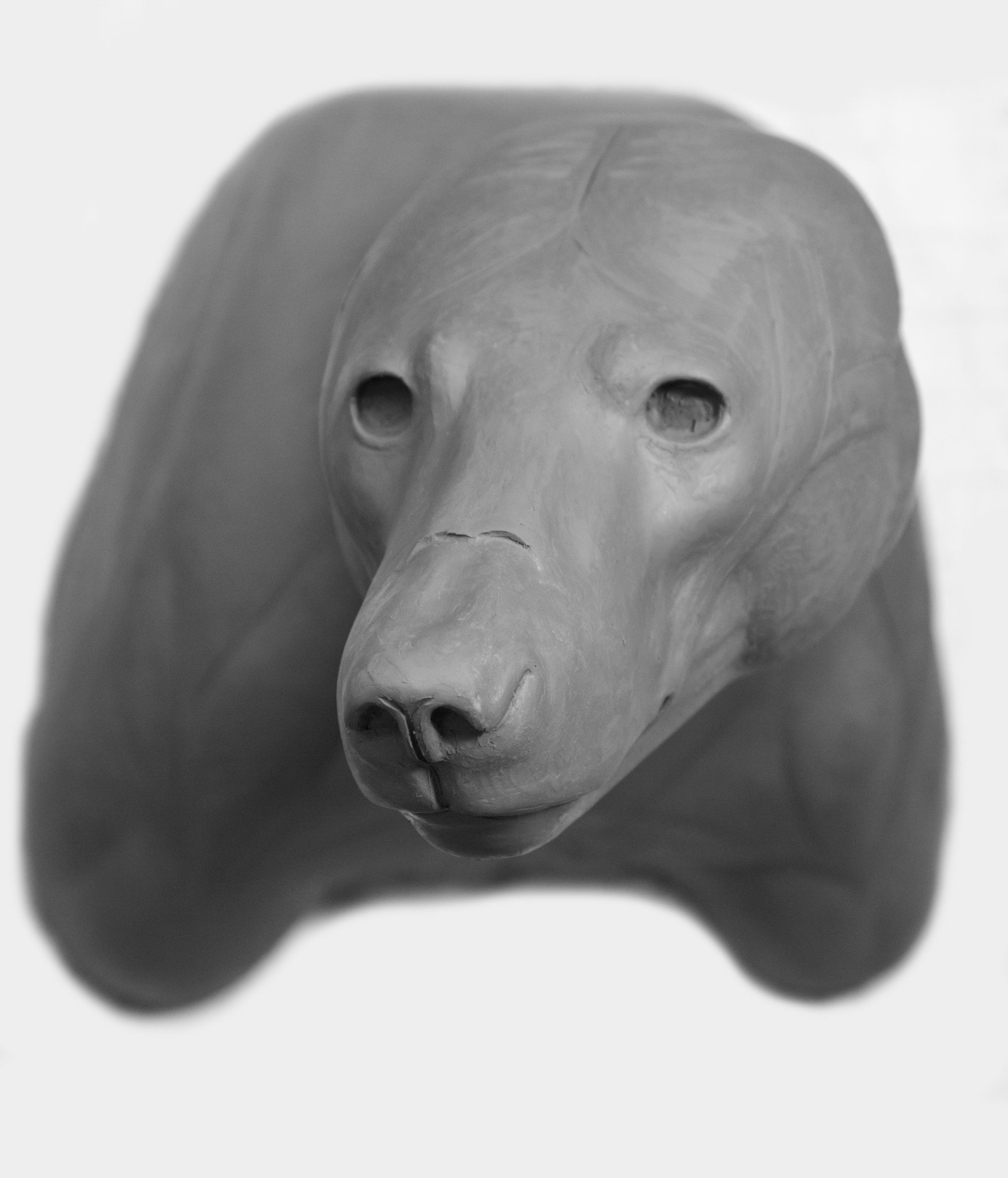 BBSH-30 Form BLACK BEAR SHOULDER BBSH-30 - Image 1