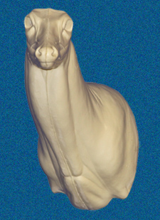 C035 WHITETAIL DEER-35 - Image 1