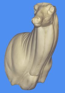 WHITETAIL DEER SHOULDER 37