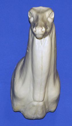 C0632010 WHITETAIL DEER-63 - Image 1