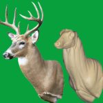 WHITETAIL DEER-87