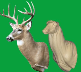 WHITETAIL DEER-87