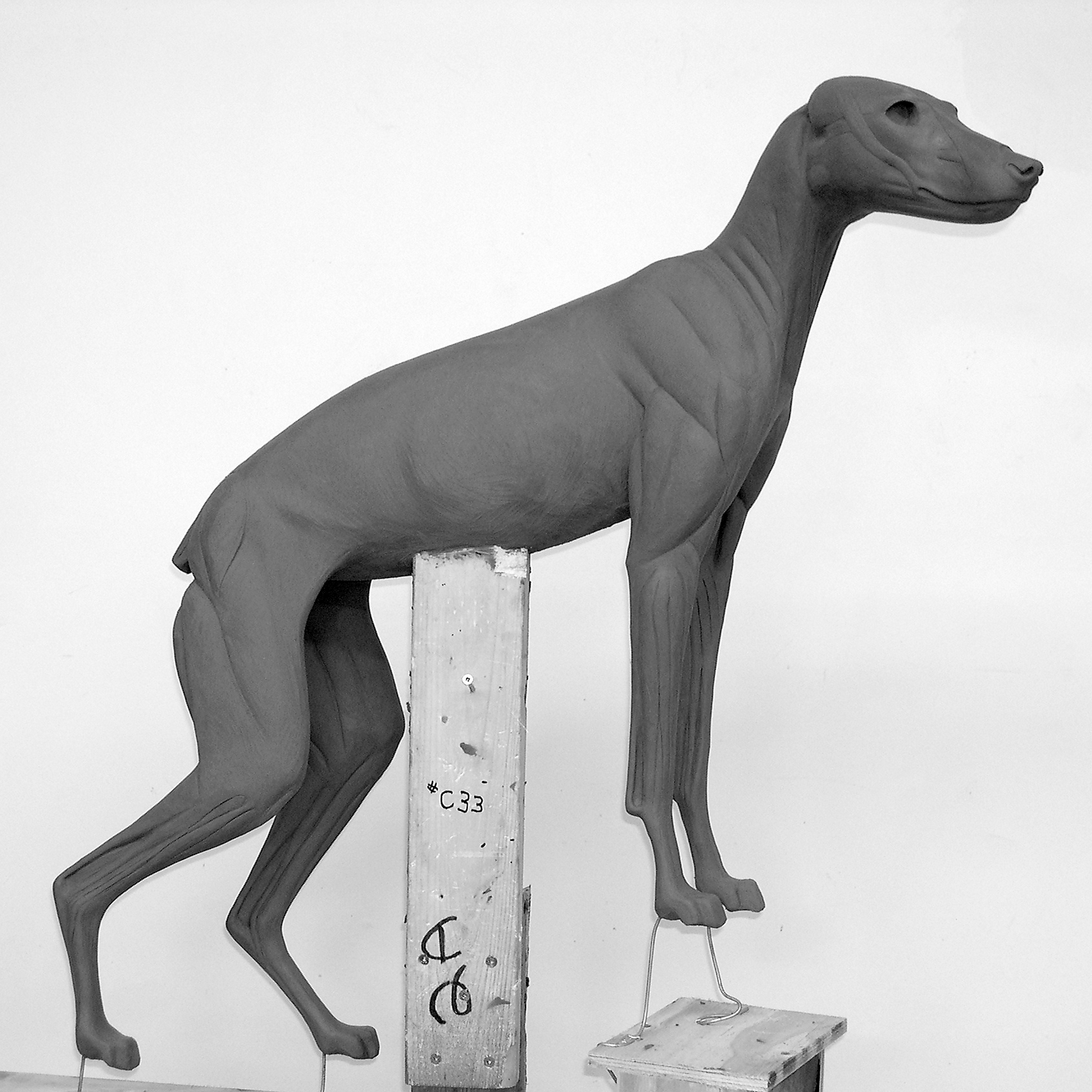 C33 Coyote COYOTE-C33 - Image 1