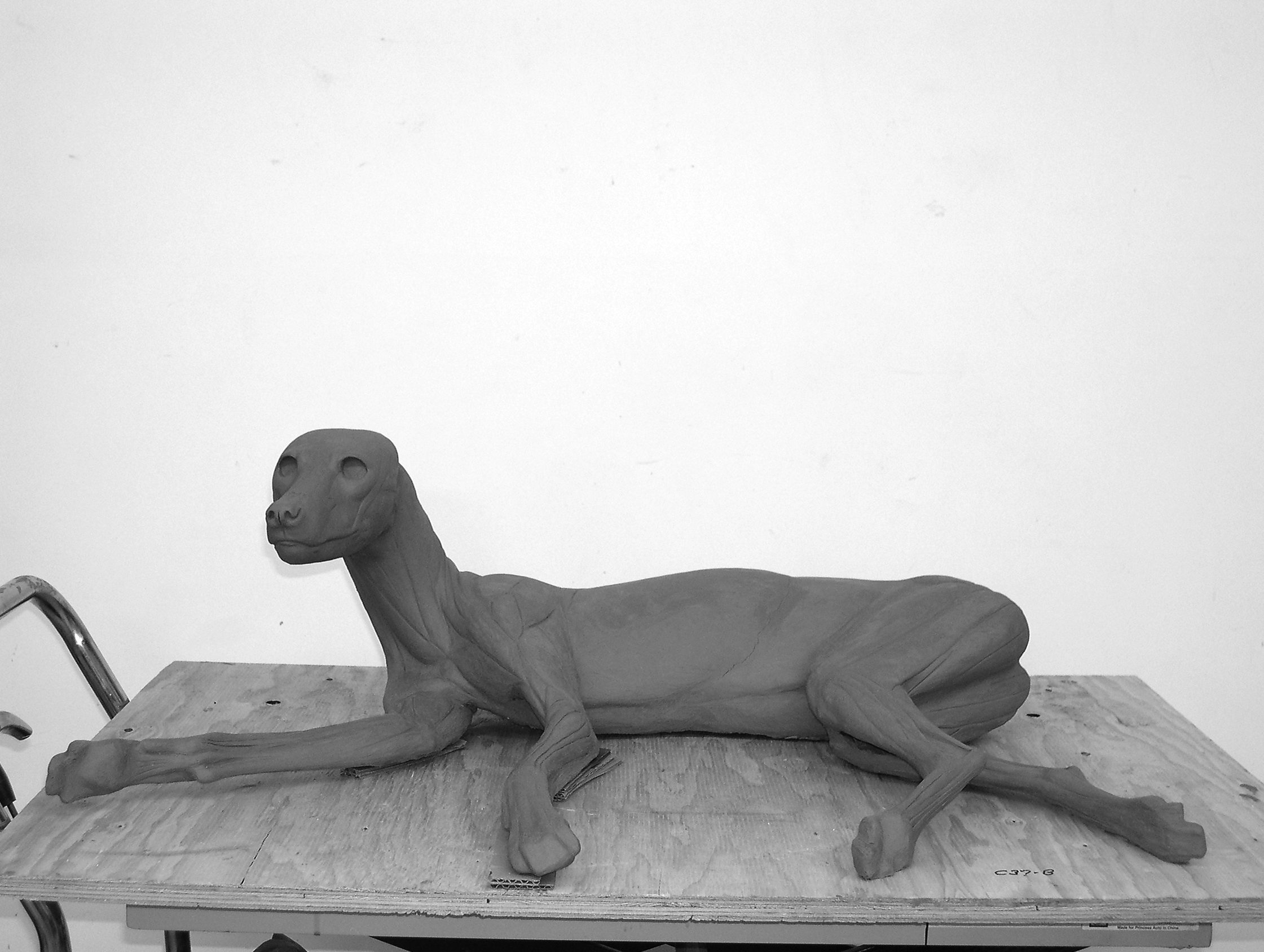 C37-B Coyote COYOTE-C37-B - Image 1