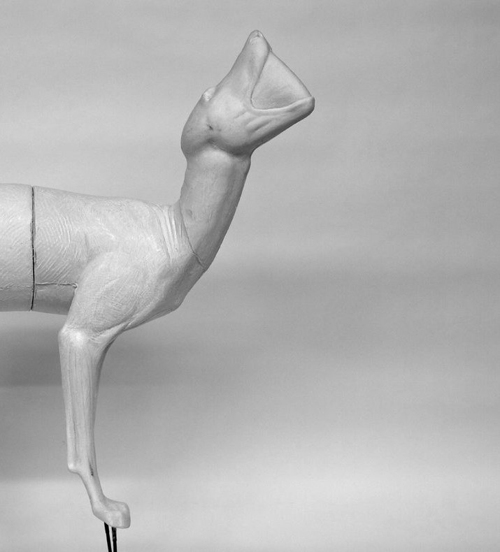 C38H-5 COYOTE-C38-H5 - Image 1