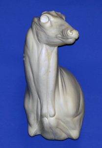 WHITETAIL DEER SHOULDER 404