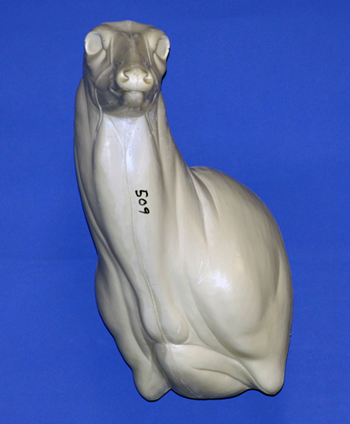 C5092010 WHITETAIL DEER-509 - Image 1