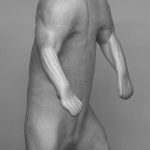 COASTAL BROWN BEAR CBB177