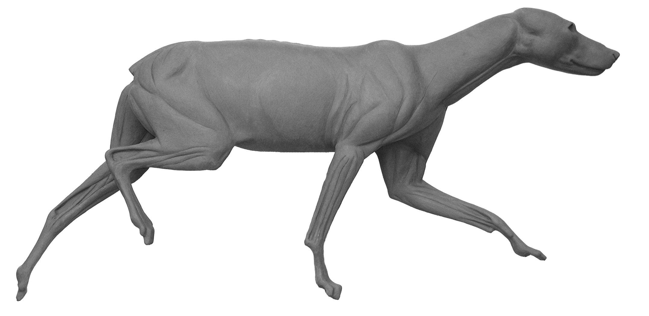 Coyote C37-A COYOTE-C37-A - Image 1