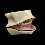 BLACK BEAR 1/2 JAWSET- Pre-painted Relaxed (Small)