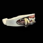 WOLF JAWSET- Pre-painted Clenched/ Snarling (Medium)