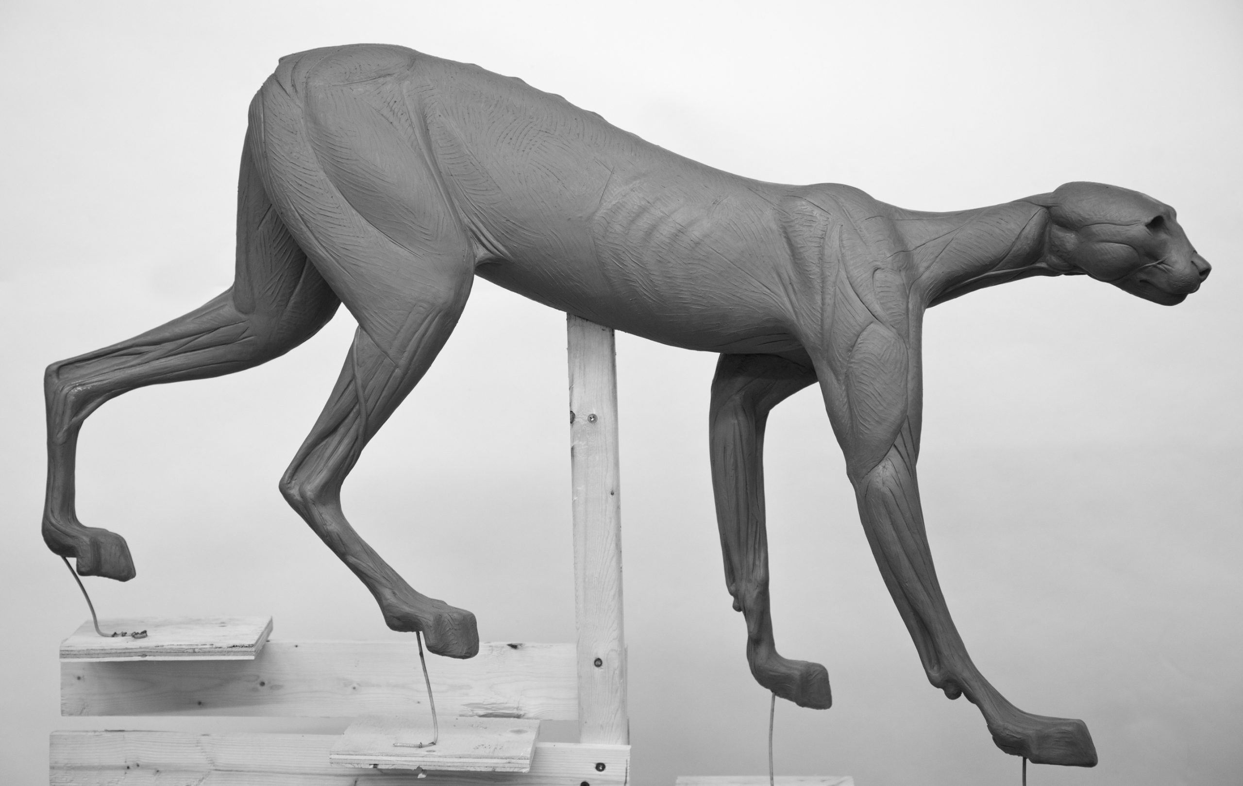 LX31-B Form LYNX LX31-B - Image 1