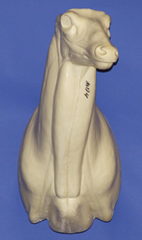 MD004 MULE DEER-MD-4 - Image 1