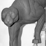 MOUNTAIN LION-ML358-5