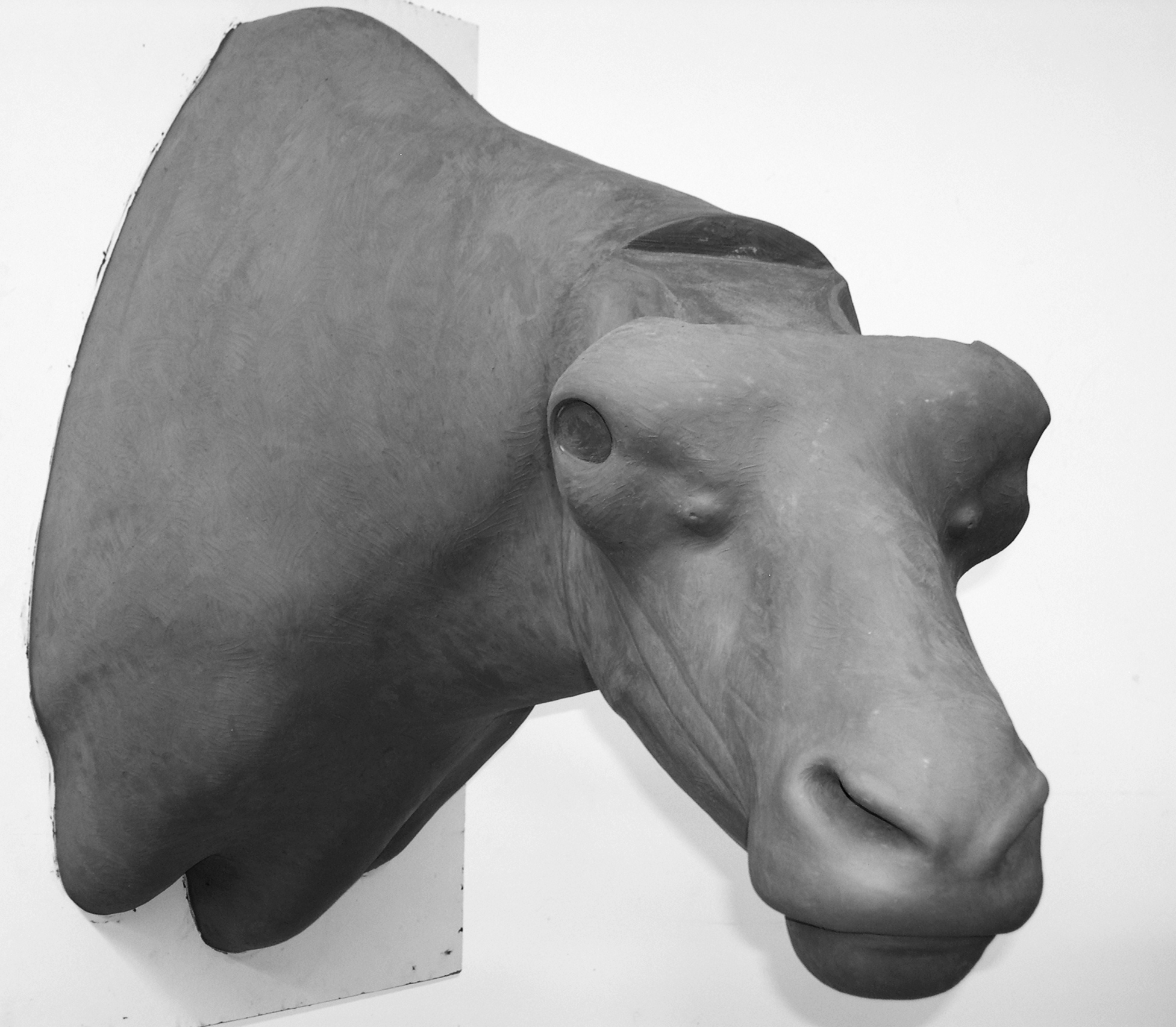 MUSKOX-1 MUSKOX-MOX-1 - Image 1