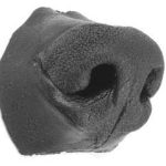 TIMBER WOLF NOSE- Medium
