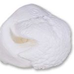 WHITETAIL DEER NOSE- Standard