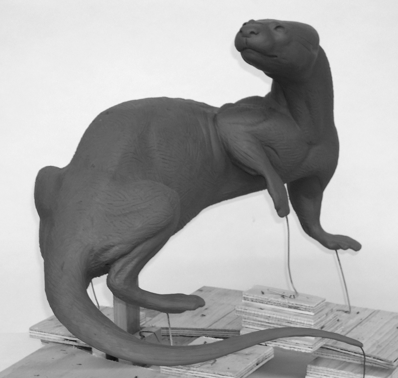 O26-A OTTER O26-A - Image 1