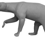 BEAR-POLAR BEAR-PB77