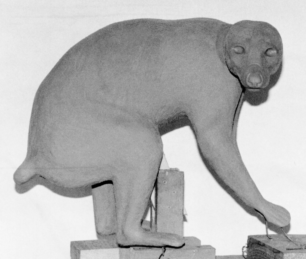 R24 form RACCOON-R24 - Image 1