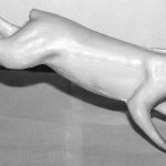 SQUIRREL-BLACK or GREY-SQ2