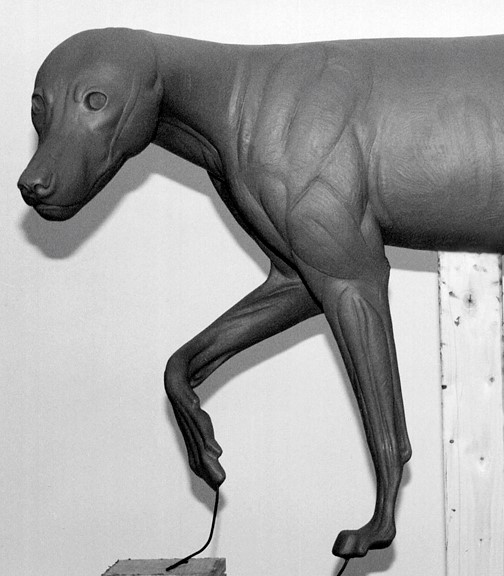 TW348-52 bw TIMBER WOLF-TW348-5 - Image 1