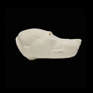 TIMBER WOLF- TWCOH-5