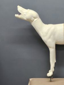 TIMBER WOLF-TW348-H5 Version 1