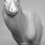 WHITETAIL DEER-5-7325-L