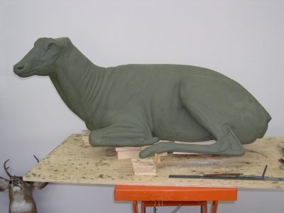 DEER-White-Tail-BUCK-WTD261