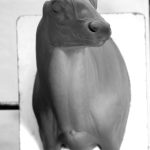 WHITETAIL DEER-WTSH-3-22-L