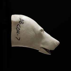 BLACK BEAR CHANGE OUT HEAD BBCOH-7 (INCL. KSJS-37)