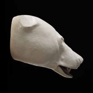 BLACK BEAR CHANGE OUT HEAD BBCOH-8 (INCL. KSJS 38)