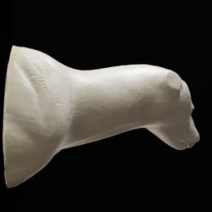 BLACK BEAR SHOULDER BBSH-1