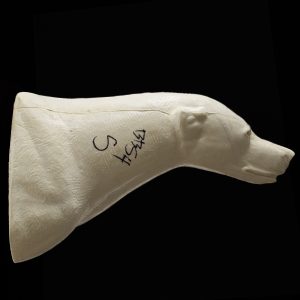 BLACK BEAR SHOULDER BBSH-5