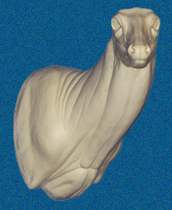 c084 WHITETAIL DEER-84 - Image 1