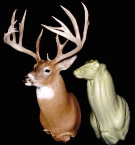 WHITETAIL DEER-89