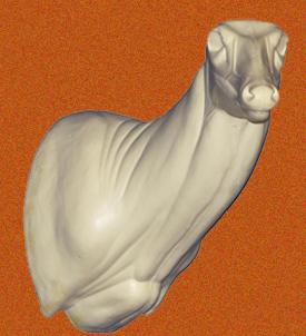 c170 WHITETAIL DEER-170 - Image 1