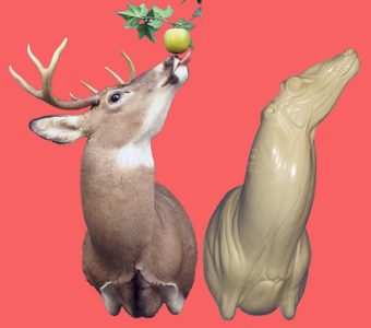 WHITETAIL DEER SHOULDER 180