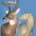 WHITETAIL DEER-2002