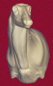 WHITETAIL DEER-718-L