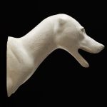 COYOTE SHOULDER COSH-10
