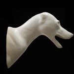 COYOTE SHOULDER COSH-12