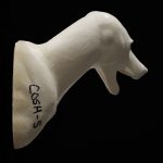 COYOTE SHOULDER COSH-5